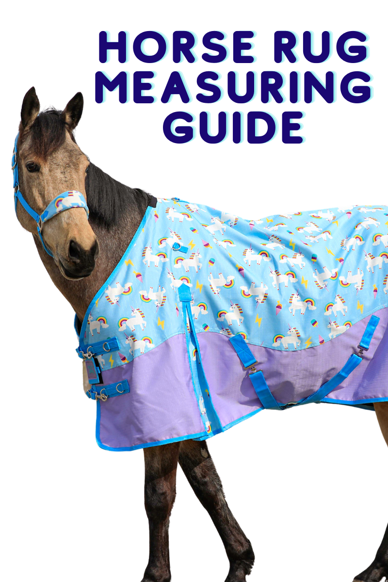 How to measure for a horse rug Ponyo Horsewear