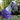 Enchanted Forest Fleece1