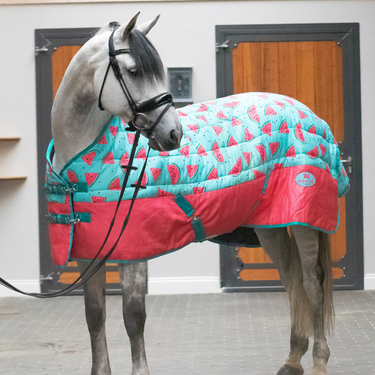 Juicy Watermelon Stable Rug