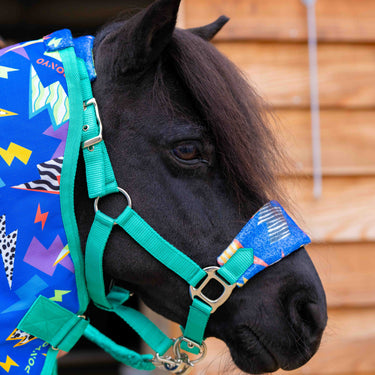 NEW Thunderstruck Head Collar & Lead Rope Set - Mini