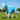 Oh My Mermaid Fly Rug - Mesh