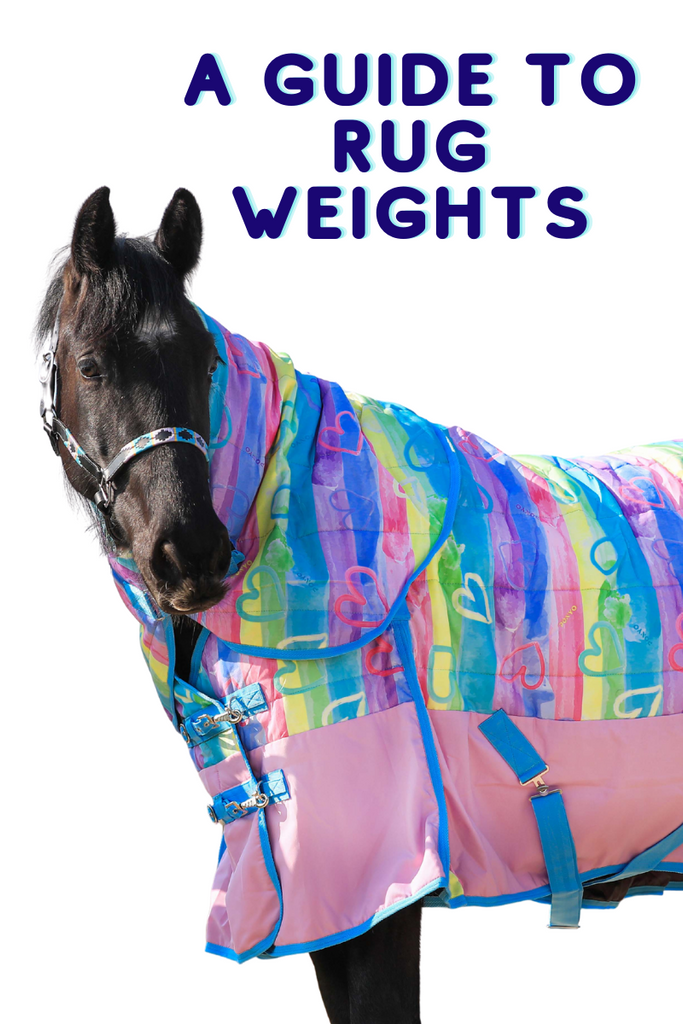 Horse Rug Weights Explained at Wanda Hatton blog