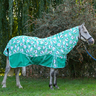 Counting Sheep Turnout Rug