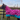 Hot Pink Unicorns Stable Rug