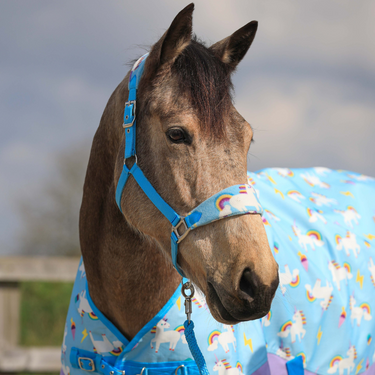 Blunicorns Head Collar & Lead Rope Set - Pony