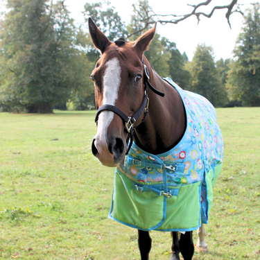 Champion_Stable_Rug 1