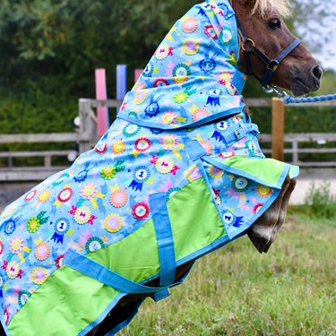 Champion Turnout Rug 1