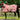 NEW Country Star Fleece Rug
