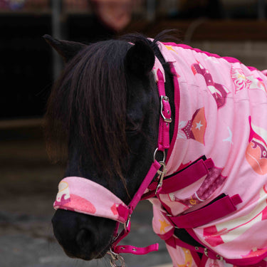 Country Star Head Collar & Lead Rope Set 