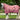 NEW County Star Stable Rug