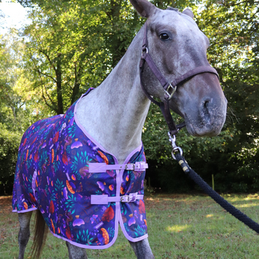 Enchanted Forest Fleece1