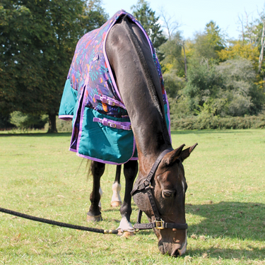 Enchanted Forest Stable Rug 1