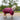 Glam Squad Stable Rug