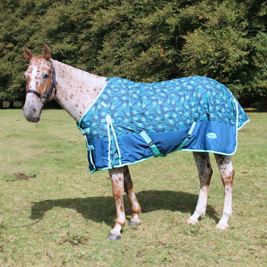 Peacock Stable Rug 1