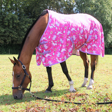 Pony Princess Fleece 1