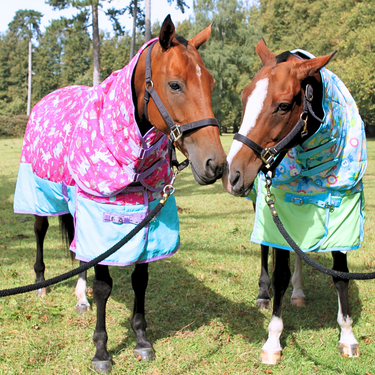 Pony Princess Stable Rug 1