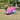Pony Princess Turnout Rug