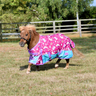 Pony Princess Turnout Rug