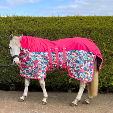 Pretty Polly Fly Rug - Waterproof