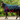 Pretty Polly Turnout