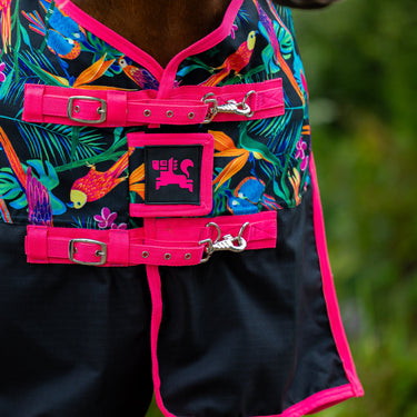 Pretty Polly Turnout Rug 1