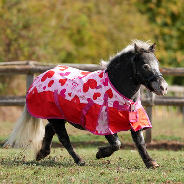 Sweetheart Turnout Rug