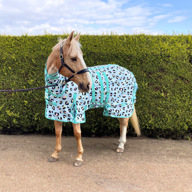 Wild One Fly Rug - Mesh