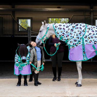 Wild_one_Headcollar_Together