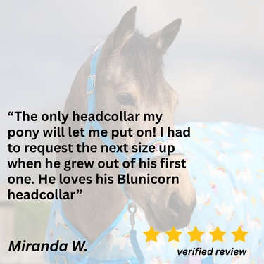 Blunicorns Head Collar & Lead Rope Set - Pony