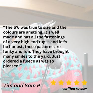 Juicy Watermelon Stable Rug - 3'3