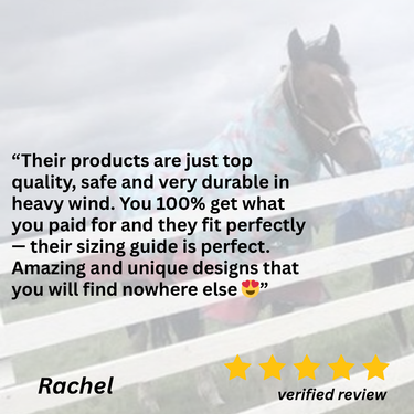 Juicy Watermelon No Fill Turnout Rug - 7'3