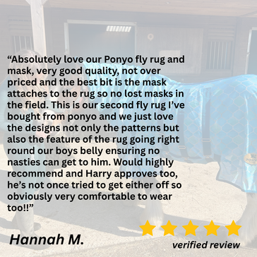Oh My Mermaid Fly Rug - 3'0