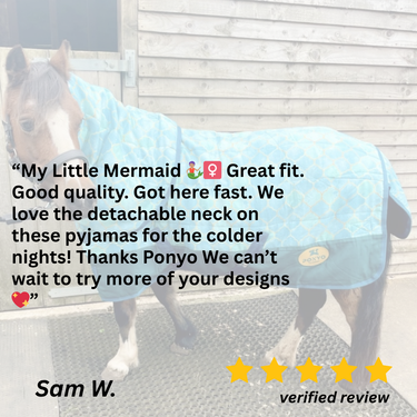 Oh My Mermaid Stable Rug - 3'3