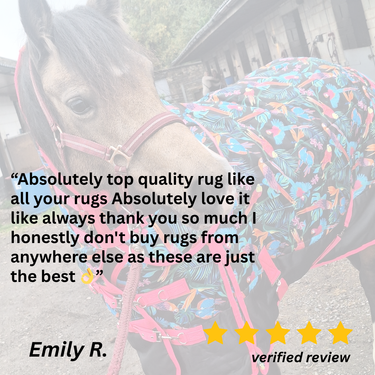 Pretty Polly Stable Rug