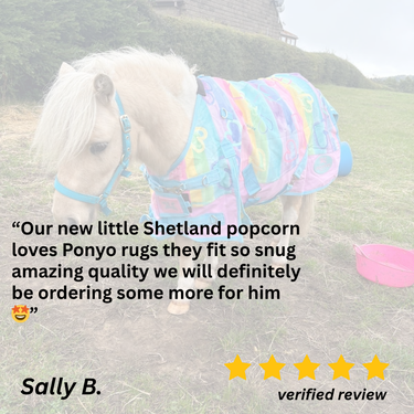 Rainbow Hearts No Fill Turnout Rug - 6'9