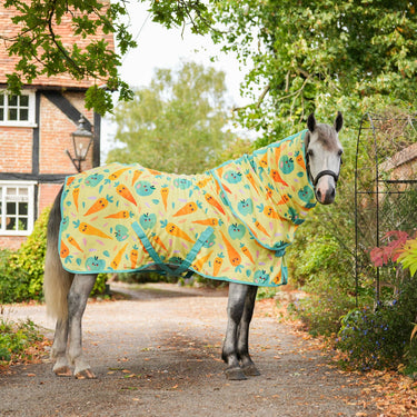 Snack Time Fleece Rug